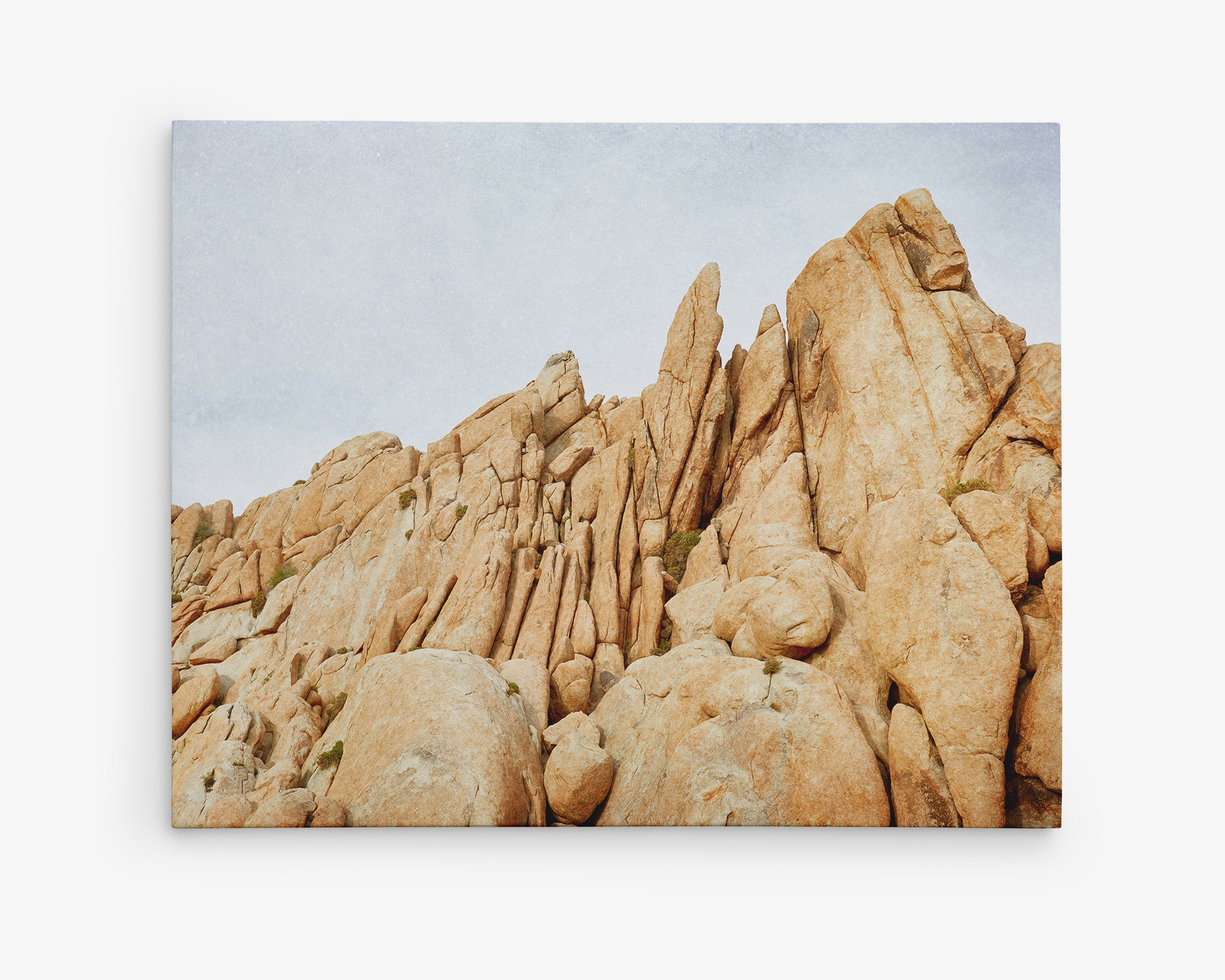 Canvas Wall Art Picture of Rocky formations at Joshua Tree