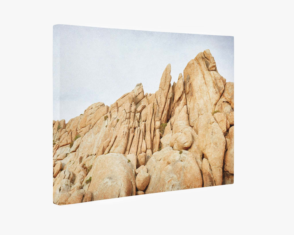 Joshua Tree Canvas Wall Art, 'Joshua Rocks'