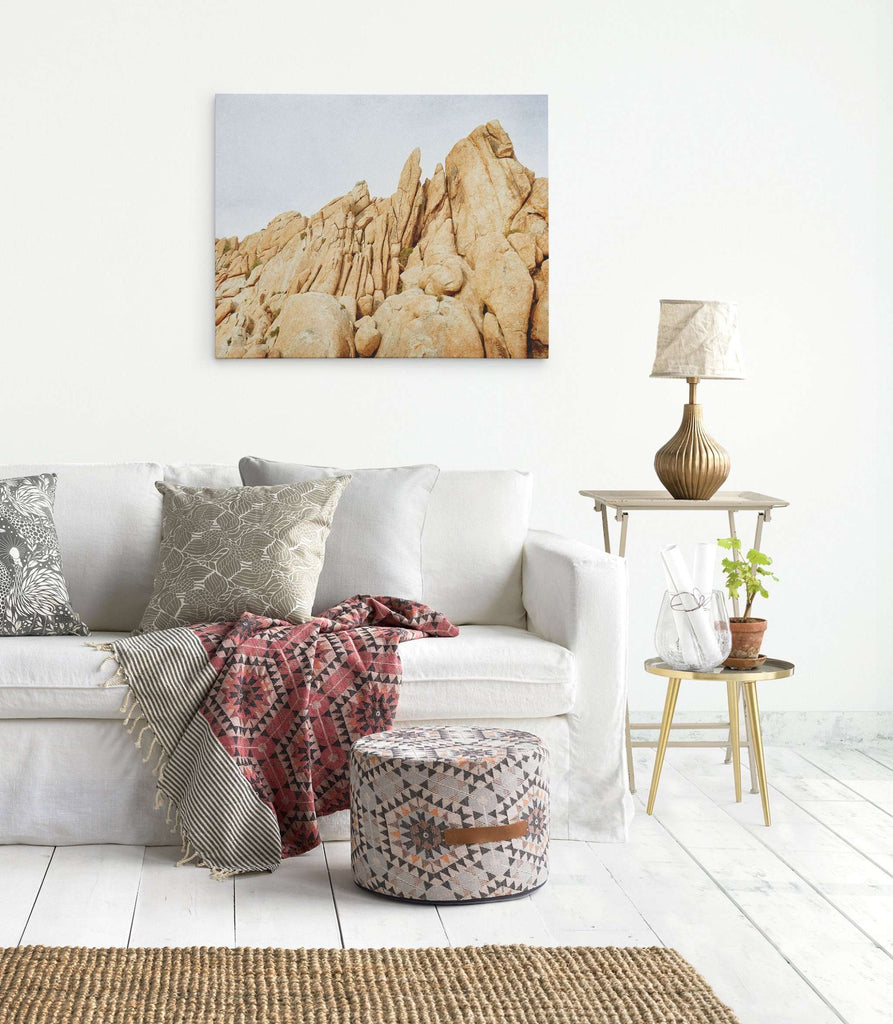 Joshua Tree Canvas Wall Art, 'Joshua Rocks'