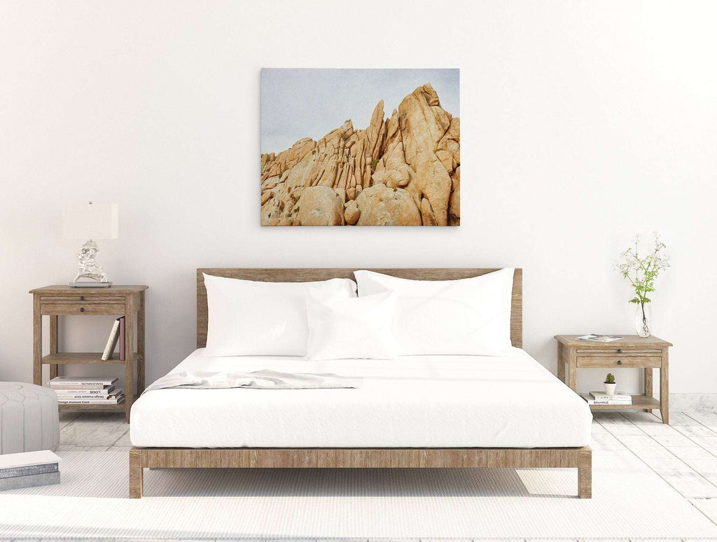 Joshua Tree Canvas Wall Art, 'Joshua Rocks'