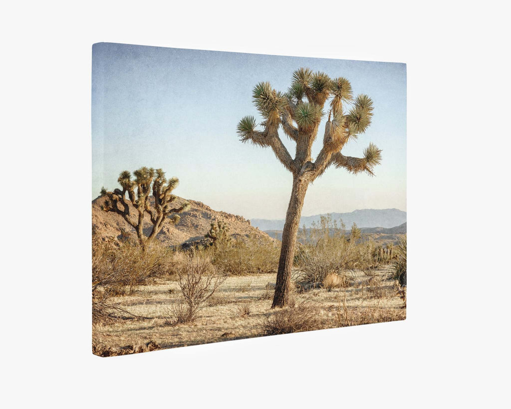 Joshua Tree Canvas Wall Art, 'Mighty Joshua'