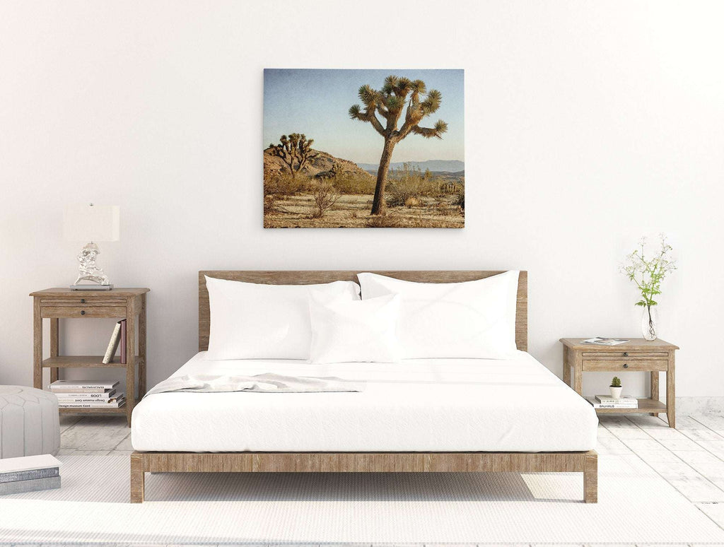 Joshua Tree Canvas Wall Art, 'Mighty Joshua'