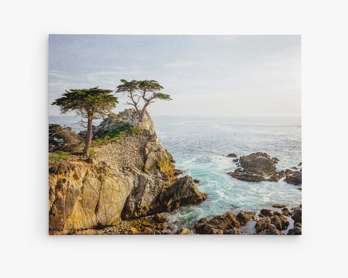 Canvas gallery wrap wall art featuring Cypress Tree on cliff at Pebble Beach, California