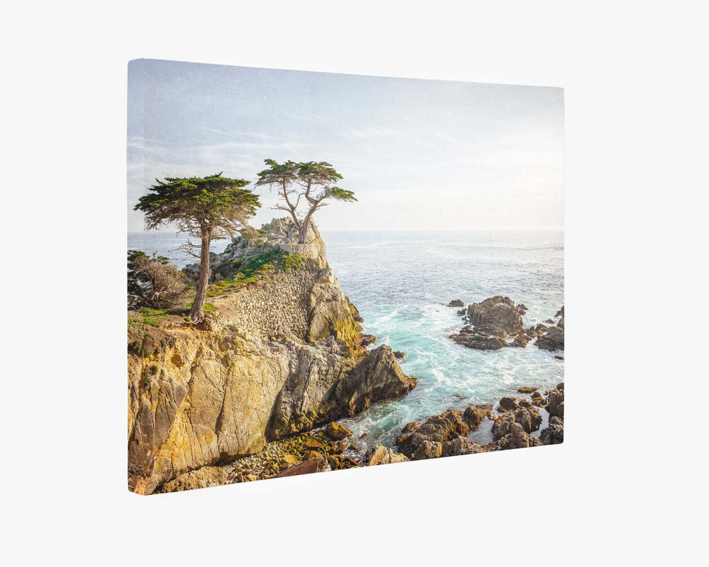 California Coastal Canvas Wall Art, 'Lone Cypress'