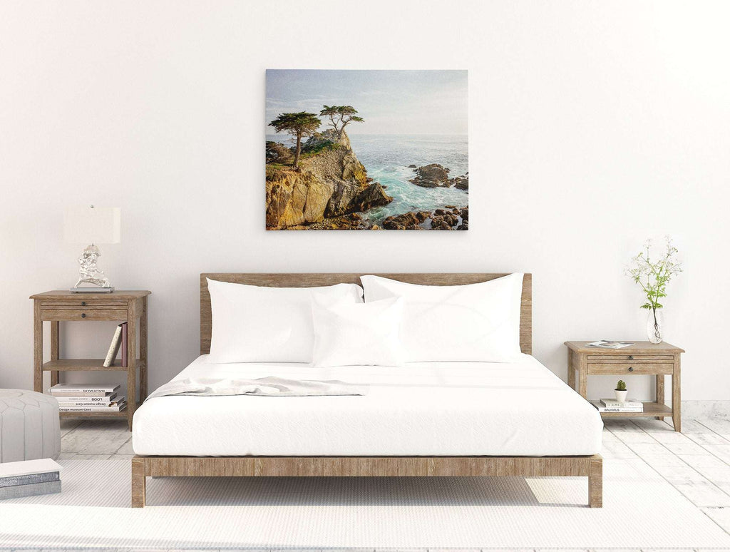 California Coastal Canvas Wall Art, 'Lone Cypress'